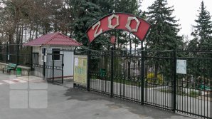 Directorul Grădinii Zoologice riscă să fie demis. Alexei Hanțațuc a acordat mai multe premii și concedii soției sale (DOC)