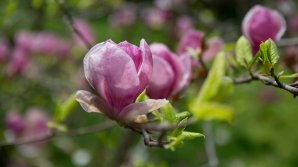 METEO: Ce temperaturi vor indica termometrele mâine 