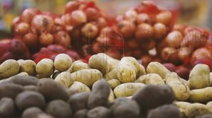 O zi de primăvară hrăneşte un an. A început sezonul plantării cartofilor