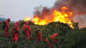 BILANŢ ÎNFIORĂTOR: Cel puţin 30 de pompieri şi-au pierdut viaţa într-un incendiu din China