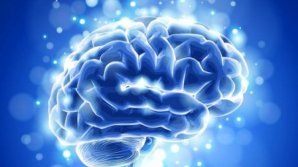 Misterul din creierul tău. Lucruri ŞOCANTE pe care nu le știi