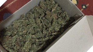 Droguri în valoare de 8 MILIOANE de lei. Planul unui grup de traficanţi, EŞUAT, după percheziţiile PCCOCS