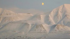 Grădina de la Polul Nord. Într-un loc cu mai mulţi urşi polari decât oameni, un cercetător cultivă legume