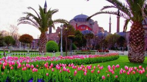 COLȚ DE RAI în Turcia. Peste 13 milioane de flori pot fi admirate la festivalul anual al lalelelor