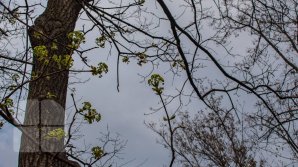 METEO DE WEEKEND: Cer variabil şi ploi de scurtă durată. Câte grade vor indica termometrele