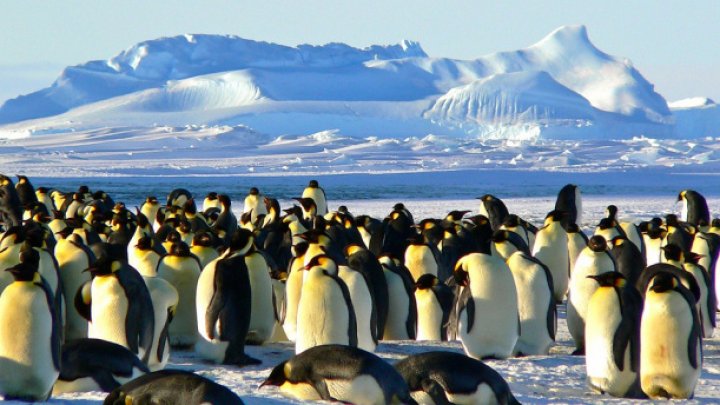 DEZASTRU ECOLOGIC în Antarctica! O furtună fără precedent a distrus tot în calea ei