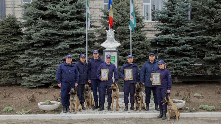 Au fost premiaţi cei mai iscusiţi câini ai Poliţiei de Frontieră. La ce se pricep PATRUPEZII CAMPIONI 