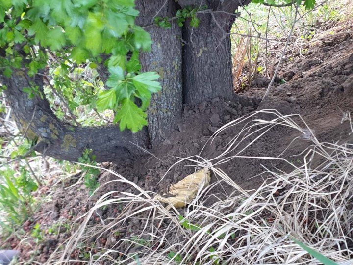 DETALII NOI în cazul celor PATRU grupări criminale, care organizau migraţia ILEGALĂ în Europa (FOTO, VIDEO)