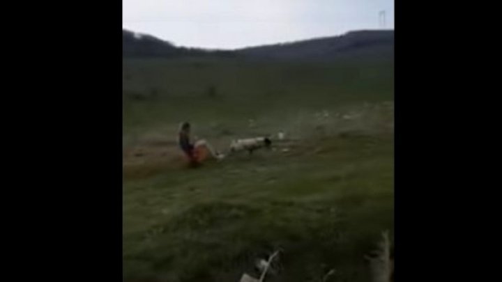 CRUZIME FĂRĂ MARGINI. O fată a maltratat un câine. L-a legat la un căruț și l-a bătut cu o nuia (VIDEO)