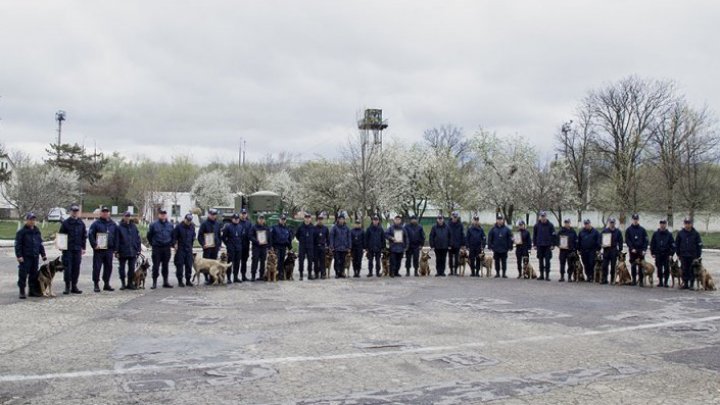 Au fost premiaţi cei mai iscusiţi câini ai Poliţiei de Frontieră. La ce se pricep PATRUPEZII CAMPIONI 