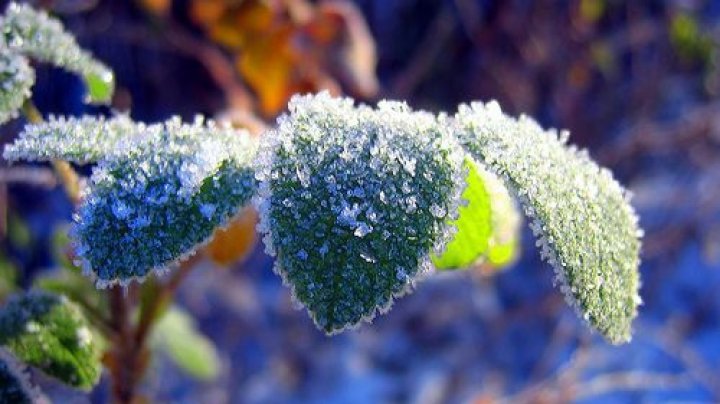 Temperaturile au coborît noaptea trecută pană la -7 grade Celsius. Meteorologii anunţă un nou Cod Galben de îngheţ