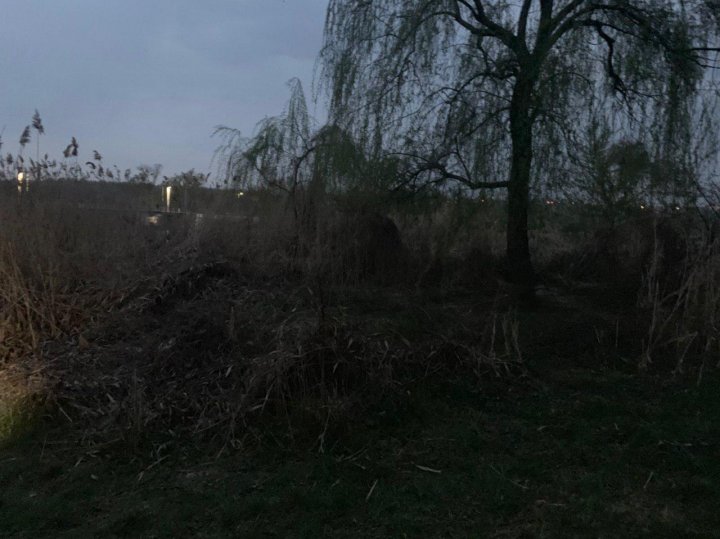 MACABRU. Corpul neînsufleţit al unui bebeluş, pus într-o sacoşă şi aruncat în parcul La Izvor din Capitală (FOTO)