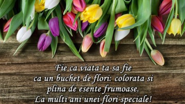 GALERIE FOTO cu cele mai INEDITE felicitări și mesaje de FLORII de împărțit cu cei dragi