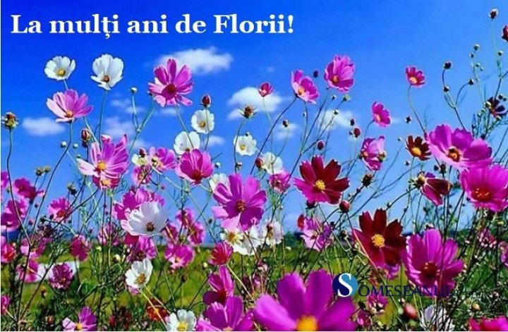 GALERIE FOTO cu cele mai INEDITE felicitări și mesaje de FLORII de împărțit cu cei dragi