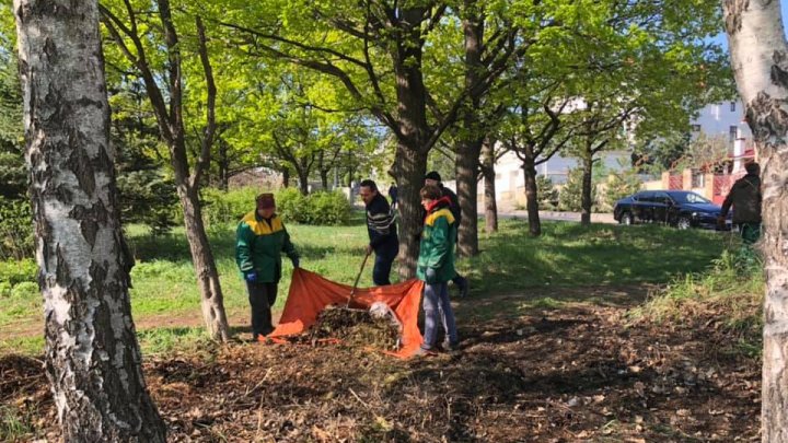 Marea salubrizare în Capitală. Sute de oameni s-au mobilizat şi au făcut curat în oraş (FOTO)