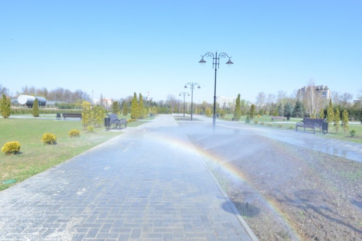 În Parcul Dendrariu din Chișinău vor fi plantați 3.000 de trandafiri (FOTO)