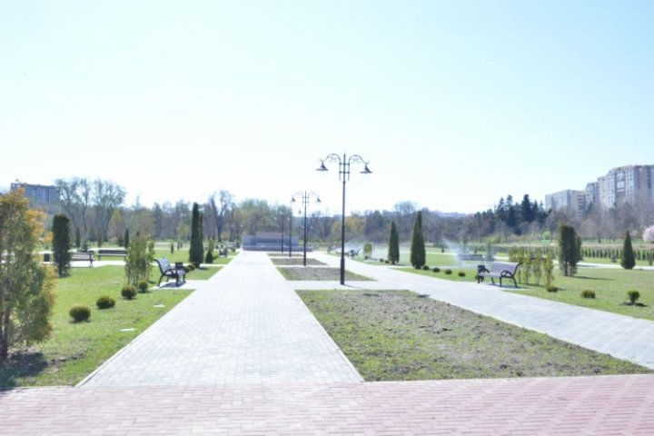 În Parcul Dendrariu din Chișinău vor fi plantați 3.000 de trandafiri (FOTO)