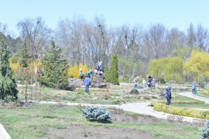 În Parcul Dendrariu din Chișinău vor fi plantați 3.000 de trandafiri (FOTO)