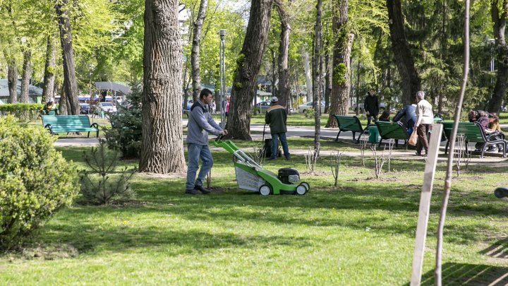 ATMOSFERĂ DE SĂRBĂTOARE. În scuarul Catedralei a fost instalat decorul de Paște (FOTOREPORT)