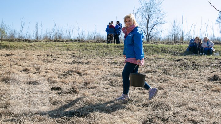 Sâmbăta se plantează copaci. PDM participă la înverzirea plaiului (FOTOREPORT)