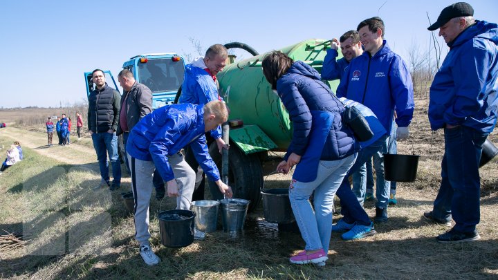 Sâmbăta se plantează copaci. PDM participă la înverzirea plaiului (FOTOREPORT)