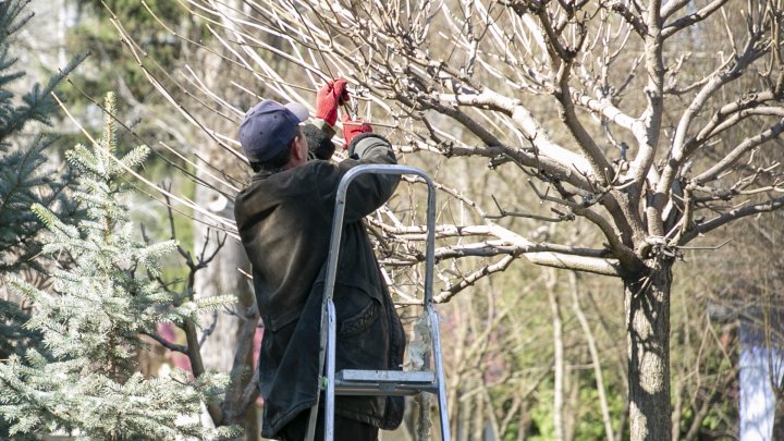 PREGĂTIRI INTENSE pentru sezonul estival la Vadul lui Vodă. De ce surprize vor avea parte vizitatorii (FOTOREPORT)