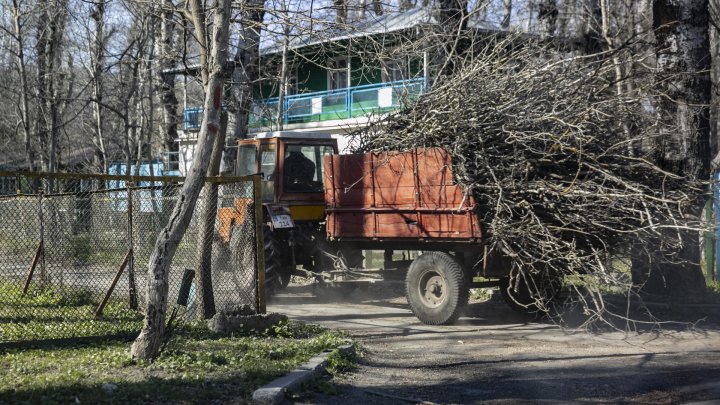 PREGĂTIRI INTENSE pentru sezonul estival la Vadul lui Vodă. De ce surprize vor avea parte vizitatorii (FOTOREPORT)