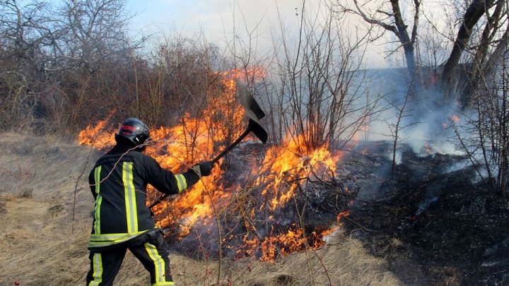 MOLDOVA, ÎN PERICOL! Flăcările au MISTUIT peste 30 de hectare de teren în Ialoveni