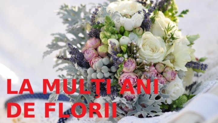 GALERIE FOTO cu cele mai INEDITE felicitări și mesaje de FLORII de împărțit cu cei dragi