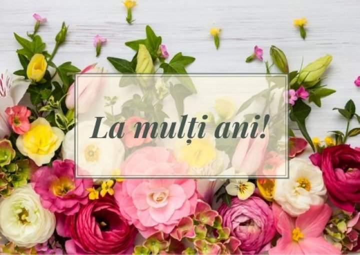 GALERIE FOTO cu cele mai INEDITE felicitări și mesaje de FLORII de împărțit cu cei dragi