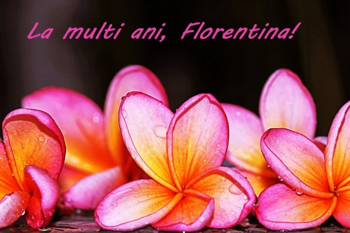 GALERIE FOTO cu cele mai INEDITE felicitări și mesaje de FLORII de împărțit cu cei dragi