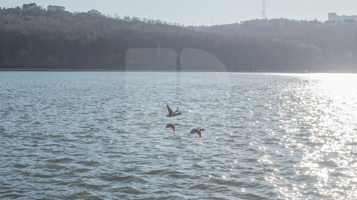 METEO: Ce vreme ne așteaptă mâine