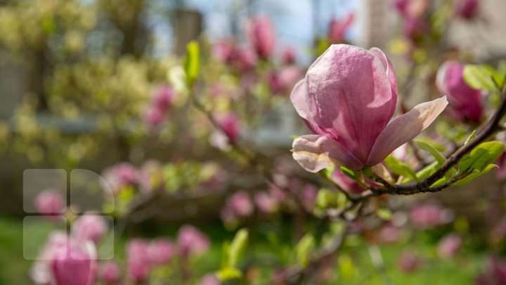 METEO pentru Sâmbăta Paştelui. Ce temperaturi ne aşteaptă, astăzi 27 aprilie