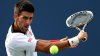 Novak Djokovic, numărul 8 mondial, s-a calificat în semifinalele Turneului Campionilor