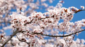 METEO 3 MAI 2019: Cer variabil în toată ţara. Câte grade vor indica termometrele