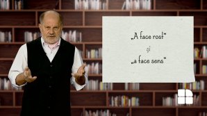 DE VORBĂ DESPRE VORBE cu Vsevolod Cernei. Ce înseamnă "a face rost"