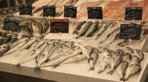 Opt milioane de peşti au murit sufocaţi în Norvegia. Produsul s-a scumpit considerabil