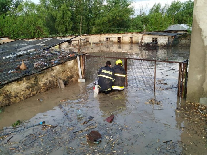 Prejudicii în urma ploilor: Zeci de gospodării inundate și lanuri de culturi spălate (FOTO/VIDEO)