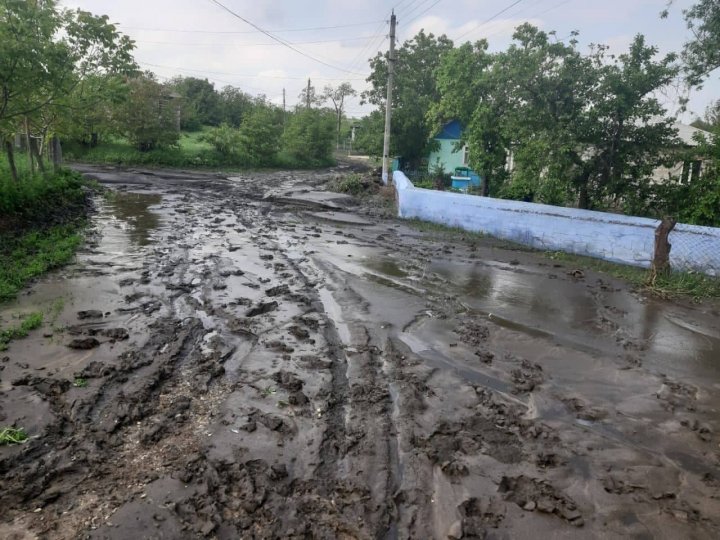 Prejudicii în urma ploilor: Zeci de gospodării inundate și lanuri de culturi spălate (FOTO/VIDEO)