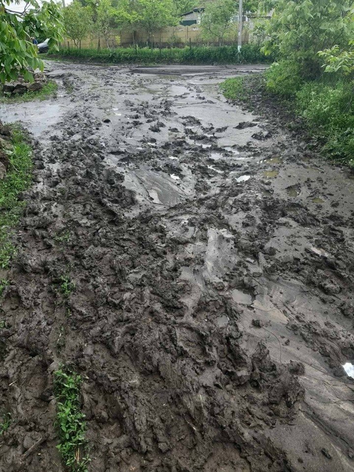 Prejudicii în urma ploilor: Zeci de gospodării inundate și lanuri de culturi spălate (FOTO/VIDEO)