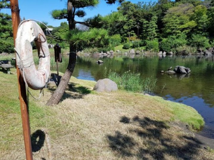 CURIOZITĂŢI INCREDIBILE DIN JAPONIA. O familie povesteşte despre experienţa sa în ALTĂ CIVILIZAŢIE (FOTO)