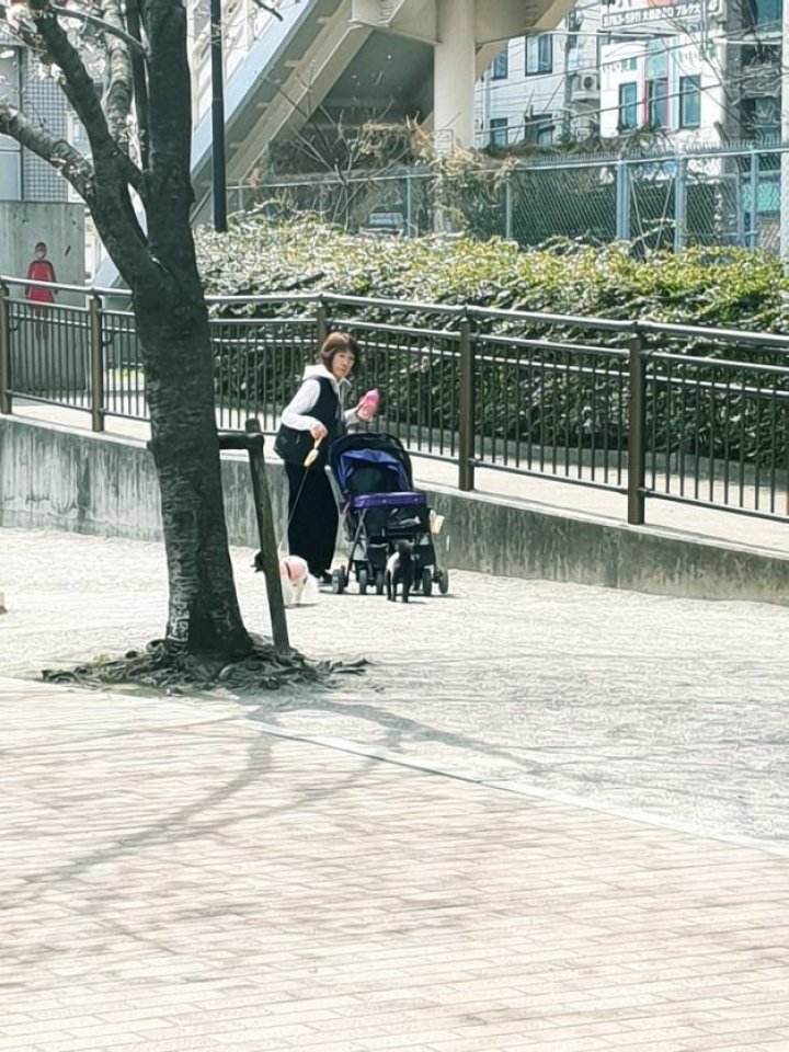 CURIOZITĂŢI INCREDIBILE DIN JAPONIA. O familie povesteşte despre experienţa sa în ALTĂ CIVILIZAŢIE (FOTO)