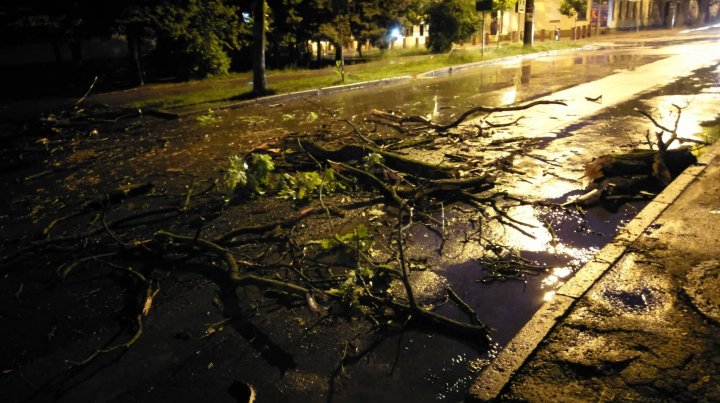 TABLOU SUMBRU în ţară în urma ploilor: Case inundate, drumuri deteriorate, copaci doborâţi şi lacuri revărsate (FOTO)