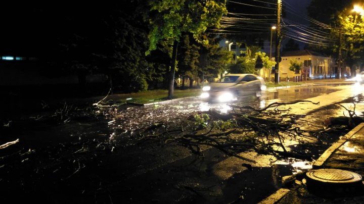 TABLOU SUMBRU în ţară în urma ploilor: Case inundate, drumuri deteriorate, copaci doborâţi şi lacuri revărsate (FOTO)