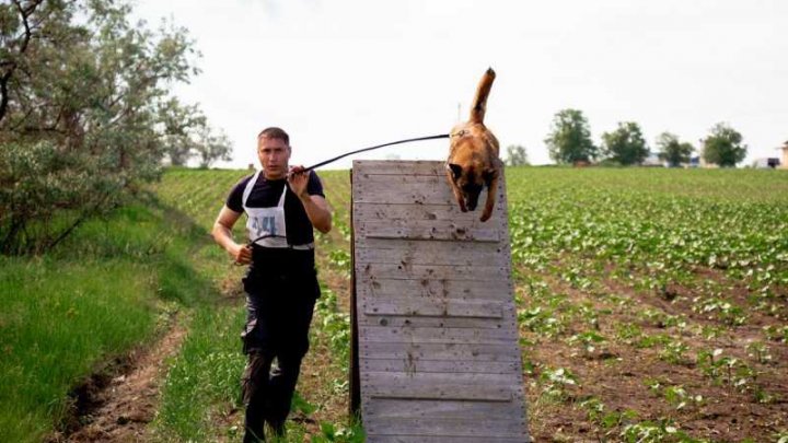 Cei mai buni și pregătiți câini s-au întrecut la concursul BIATLON 2019. Cine este câștigătorul