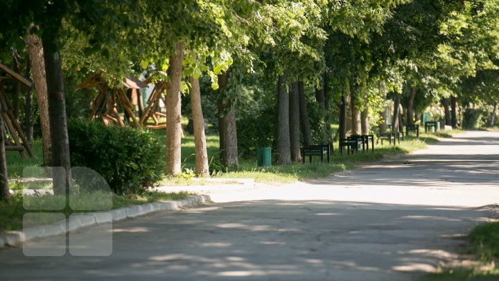 PEISAJE MIRIFICE. Vadul lui Vodă, cel mai verde oraş din Moldova (FOTOREPORT)