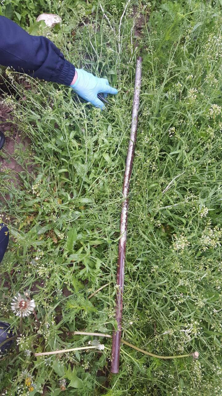 MOARTE DUBIOASĂ într-un sat din centrul ţării. Un băiat de 12 ani A UCIS cu sânge rece un bărbat. DETALII ŞOCANTE