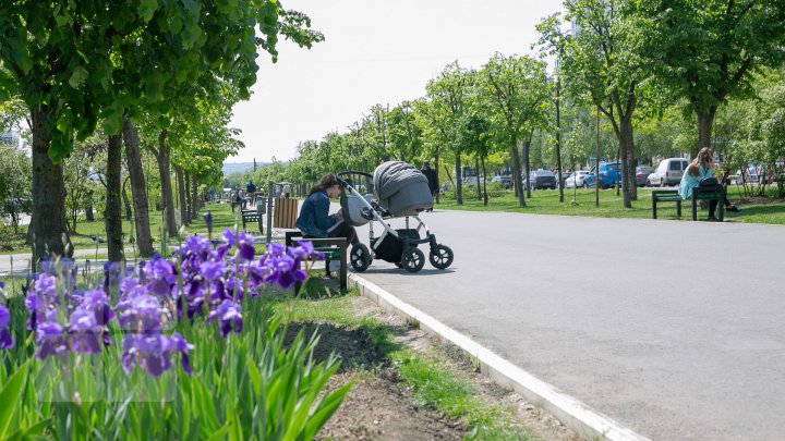 INEDIT! Pe bulevardul Mircea cel Bătrân din Capitală au fost instalate BĂNCI 3D (FOTOREPORT)