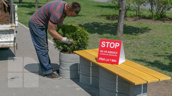 INEDIT! Pe bulevardul Mircea cel Bătrân din Capitală au fost instalate BĂNCI 3D (FOTOREPORT)