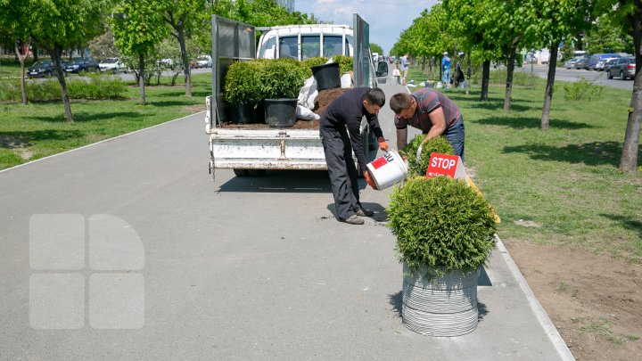 INEDIT! Pe bulevardul Mircea cel Bătrân din Capitală au fost instalate BĂNCI 3D (FOTOREPORT)